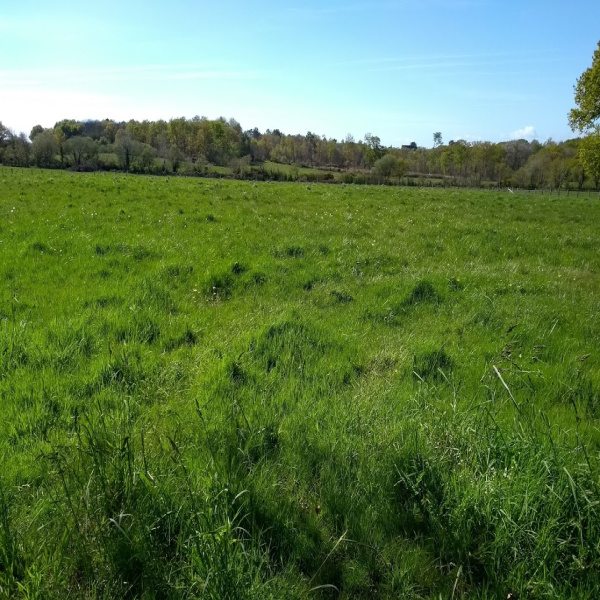 Offres de vente Terrain Missillac 44780