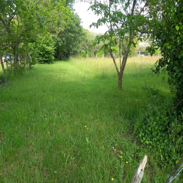 Offres de vente Terrain Sainte-Anne-sur-Brivet 44160
