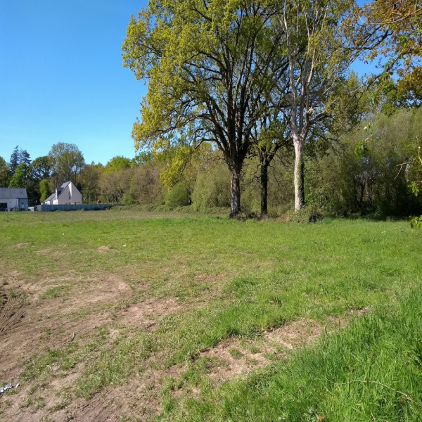 Offres de vente Terrain Missillac 44780