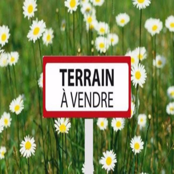 Offres de vente Terrain Saint-Dolay 56130