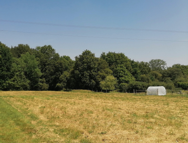 Offres de vente Terrain Missillac 44780